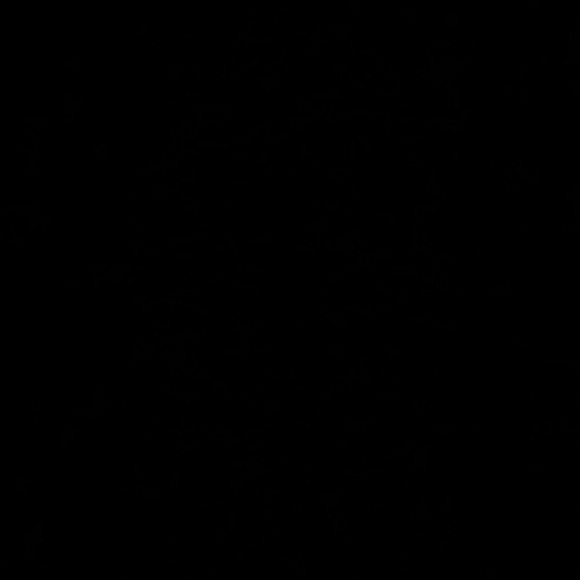 Meet your Posher, Adam - Picture 1 of 1